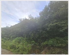  2025Ÿ��5387  �Ӿ߰��