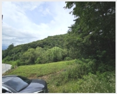  2025Ÿ��5387  �Ӿ߰��