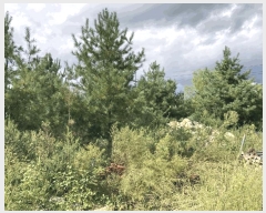  2025Ÿ��5399 ��� ��õ�� �ſ��� 1115-51       ����(�Ӿ�)���