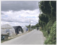  2025Ÿ��5399 ��� ��õ�� �ſ��� 1115-51       ����(�Ӿ�)���