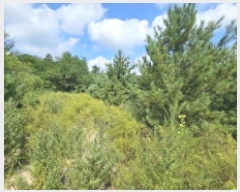  2025Ÿ��5399 ��� ��õ�� �ſ��� 1115-51       ����(�Ӿ�)���