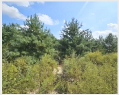  2025Ÿ��5399 ��� ��õ�� �ſ��� 1115-51       ����(�Ӿ�)���