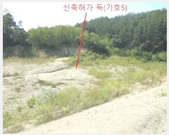  2025Ÿ��5401  �Ӿ߰��