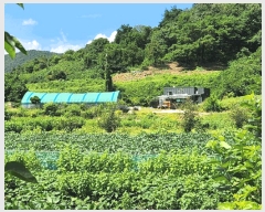  2025Ÿ��5403 ��� �ܾ籺 �밭�� ������ 301-7      ����(��1)���