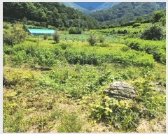  2025Ÿ��5403 ��� �ܾ籺 �밭�� ������ 301-7      ����(��1)���