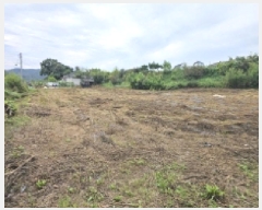  2025Ÿ��5407 ��� ��õ�� �ſ��� 335-2       ����(��1)���