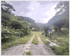  2025Ÿ��5413  �Ӿ߰��