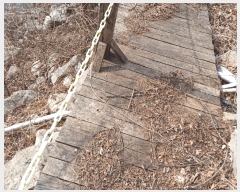  2025Ÿ��5413  �Ӿ߰��