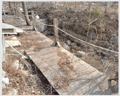  2025Ÿ��5413  �Ӿ߰��