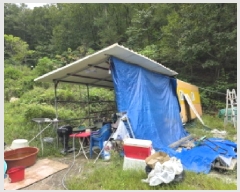  2025Ÿ��5413  �Ӿ߰��