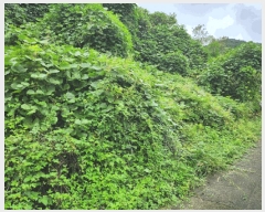  2025Ÿ��5417 ��� ��õ�� �Ѽ��� �۰踮 916      ����(��1)���