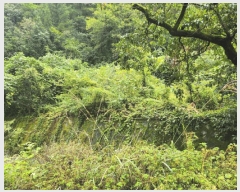  2025Ÿ��5417 ��� ��õ�� �Ѽ��� �۰踮 916      ����(��1)���