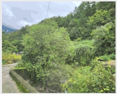  2025Ÿ��5417 ��� ��õ�� �Ѽ��� �۰踮 916      ����(��1)���