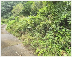  2025Ÿ��5417 ��� ��õ�� �Ѽ��� �۰踮 916      ����(��1)���