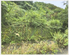  2025Ÿ��5417 ��� ��õ�� �Ѽ��� �۰踮 916      ����(��1)���