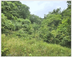  2025Ÿ��5417 ��� ��õ�� �Ѽ��� �۰踮 916      ����(��1)���