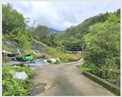  2025Ÿ��5417 ��� ��õ�� �Ѽ��� �۰踮 916      ����(��1)���