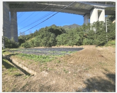  2025Ÿ��5425 ��� �ܾ籺 �밭�� ��ο��� 640      ����(��)���