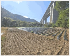  2025Ÿ��5425 ��� �ܾ籺 �밭�� ��ο��� 640      ����(��)���