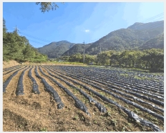  2025Ÿ��5425 ��� �ܾ籺 �밭�� ��ο��� 640      ����(��)���