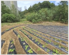  2025Ÿ��5425 ��� �ܾ籺 �밭�� ��ο��� 640      ����(��)���