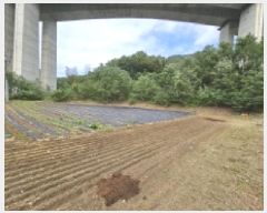  2025Ÿ��5425 ��� �ܾ籺 �밭�� ��ο��� 640      ����(��)���