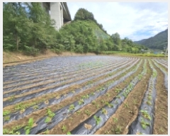  2025Ÿ��5425 ��� �ܾ籺 �밭�� ��ο��� 640      ����(��)���