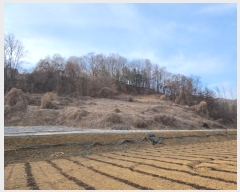  2025Ÿ29  õ   83-1      (Ӿ)