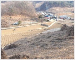  2025Ÿ29  õ   83-1      (Ӿ)