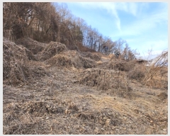  2025Ÿ29  õ   83-1      (Ӿ)