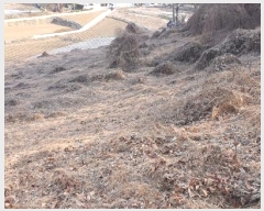  2025Ÿ29  õ   83-1      (Ӿ)