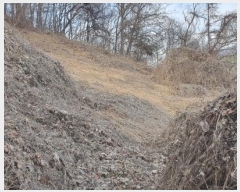  2025Ÿ29  õ   83-1      (Ӿ)