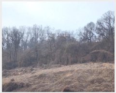  2025Ÿ29  õ   83-1      (Ӿ)