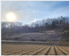  2025Ÿ29  õ   83-1      (Ӿ)