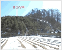  2025Ÿ82  õ   875-22      (Ӿ)