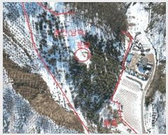  2025Ÿ82  õ   875-22      (Ӿ)