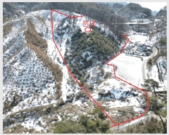  2025Ÿ82  õ   875-22      (Ӿ)