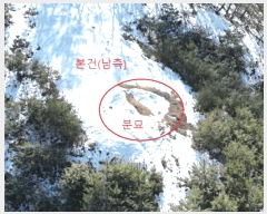  2025Ÿ82  õ   875-22      (Ӿ)