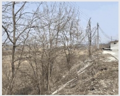  2025Ÿ��88 ��� ��õ�� ������ 136-3       �����Ұ��