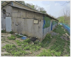  2025Ÿ96  ܾ籺 õ  354      (󰡽ü)