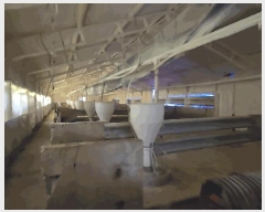  2025Ÿ96  ܾ籺 õ  354      (󰡽ü)