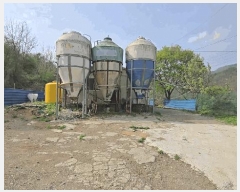  2025Ÿ96  ܾ籺 õ  354      (󰡽ü)