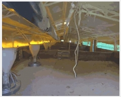  2025Ÿ96  ܾ籺 õ  354      (󰡽ü)