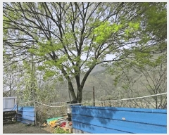  2025Ÿ96  ܾ籺 õ  354      (󰡽ü)