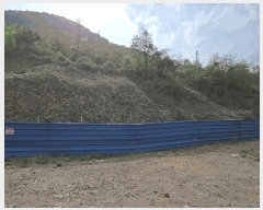  2025Ÿ96  ܾ籺 õ  354      (󰡽ü)