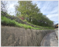  2025Ÿ��98 ��� ��õ�� ����� ��44-7       ����(�Ӿ�)���