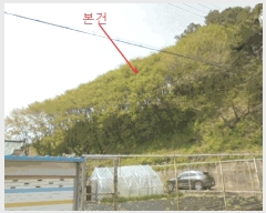  2025Ÿ��98 ��� ��õ�� ����� ��44-7       ����(�Ӿ�)���