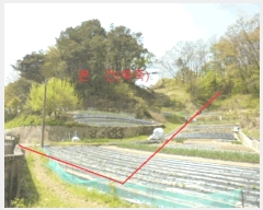  2025Ÿ��98 ��� ��õ�� ����� ��44-7       ����(�Ӿ�)���