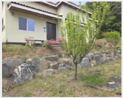  2025Ÿ100  õ   719      ð