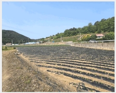  2025Ÿ102  õ   243-2      ()